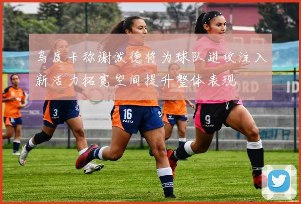 乌度卡称谢泼德将为球队进攻注入新活力拓宽空间提升整体表现